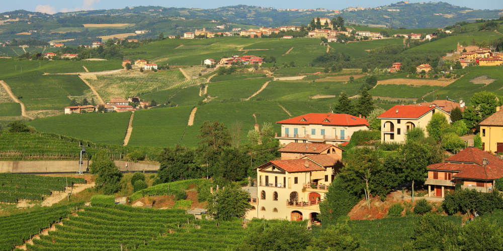 vingaard-udsigt-piemonte-italien