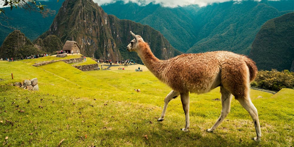 Tag på rundrejse i Peru og besøg det forladte inkarige, Machu Picchu